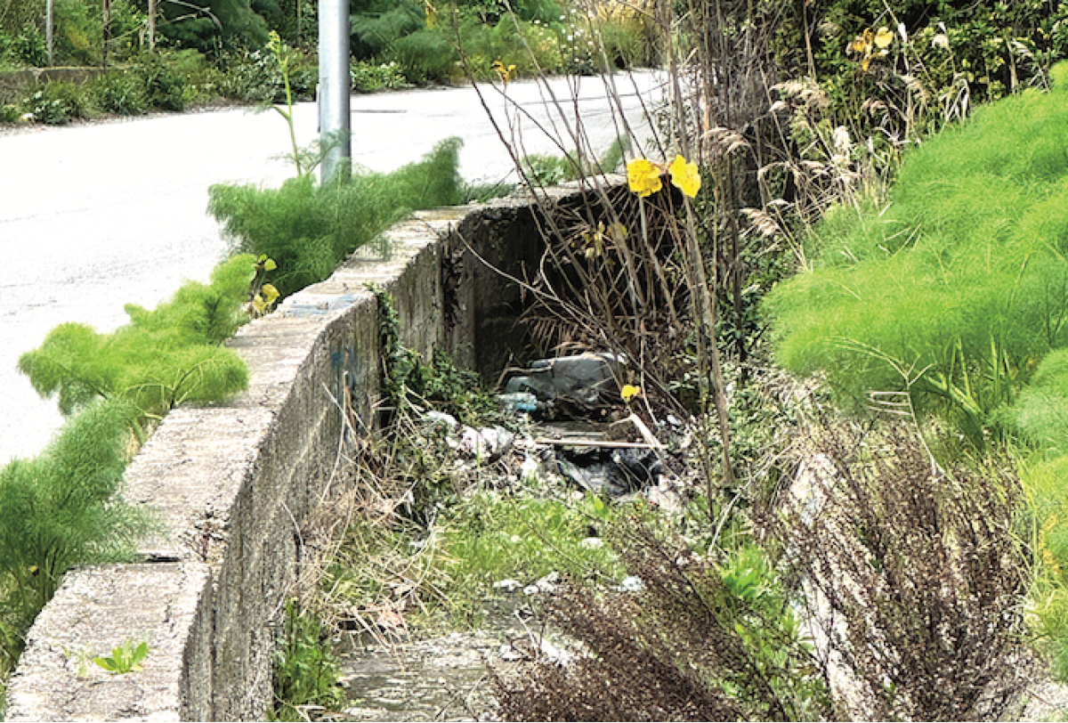 Crotone - Iniziata la pulizia di fossi e canali - 