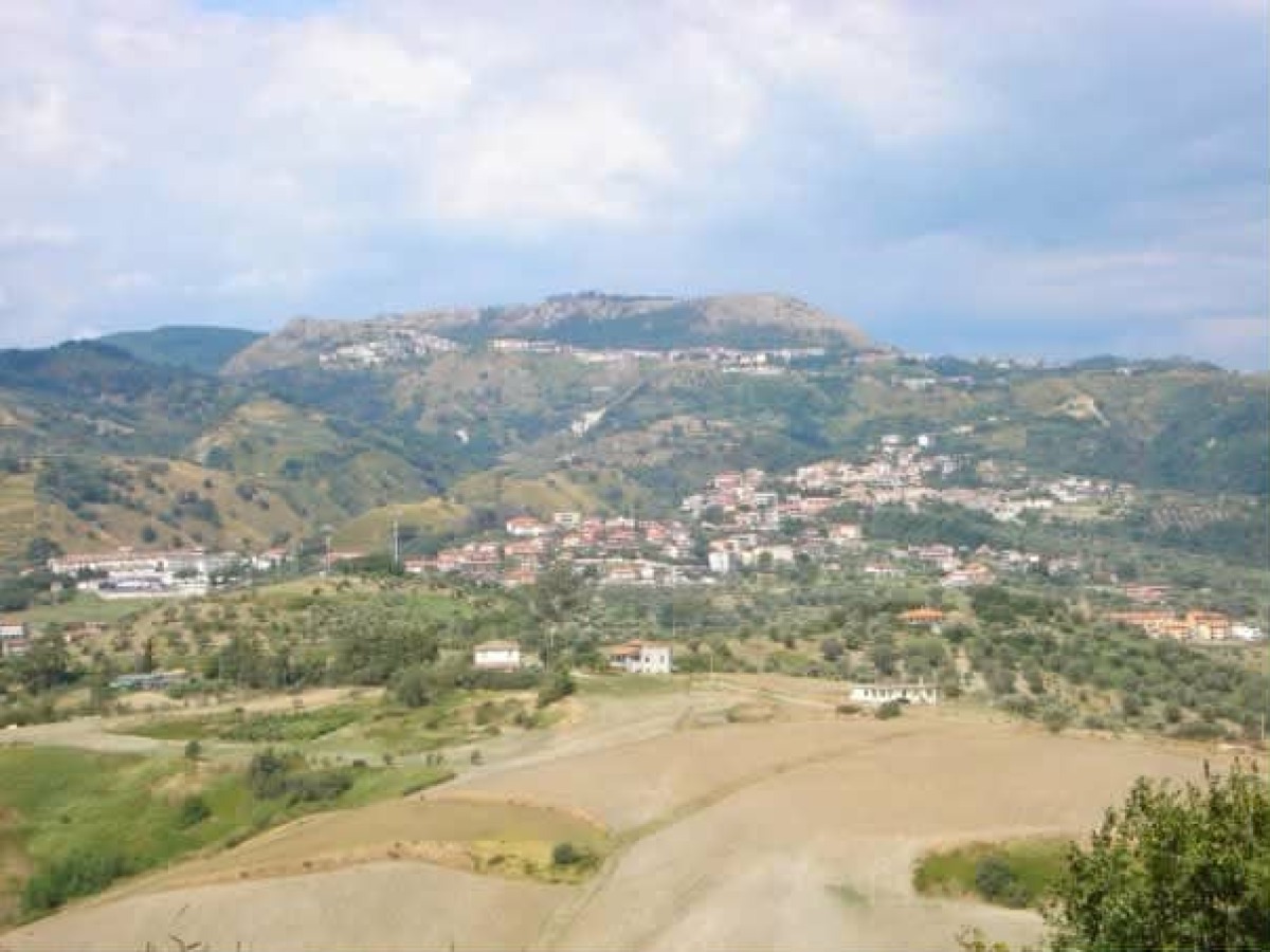 Marcellinara celebra le imprese locali con il premio “Marcellinara che produce 2025” - 