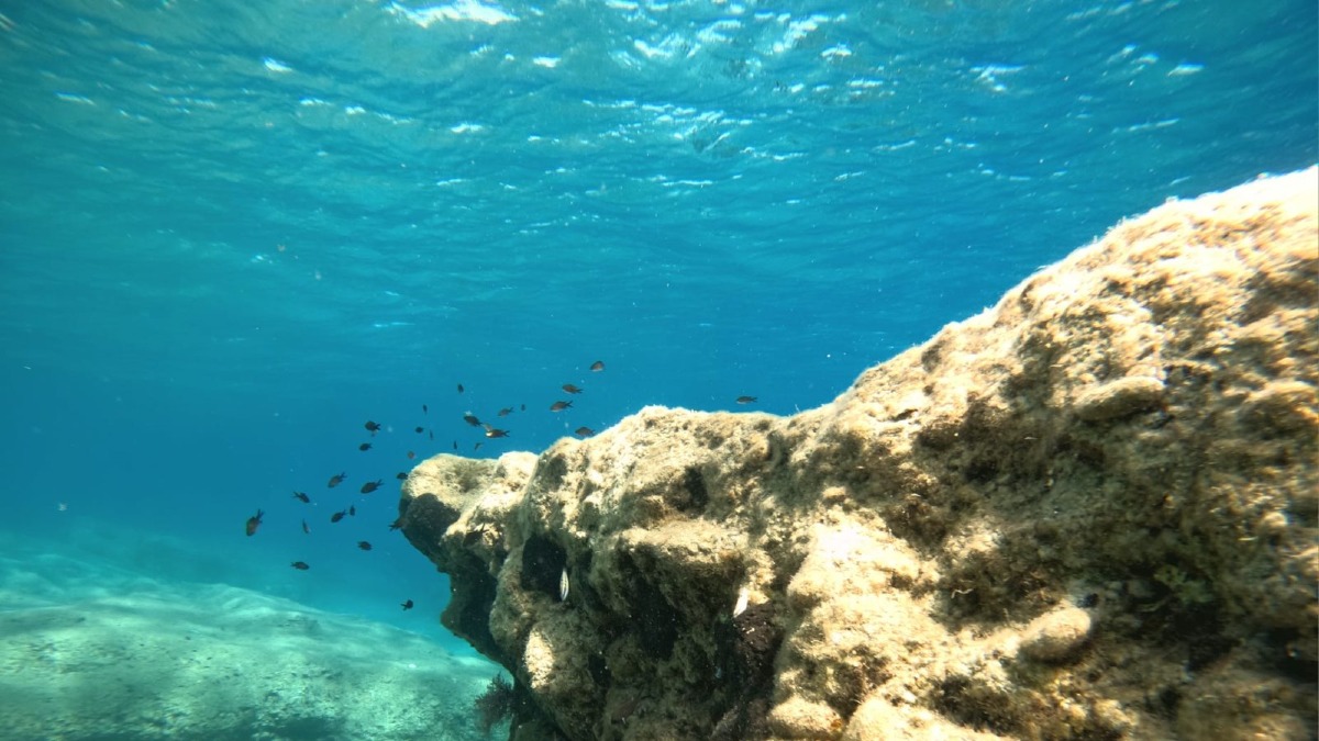 Calabria Sub and Beach Games 2025: a Montepaone sport, mare e inclusione -