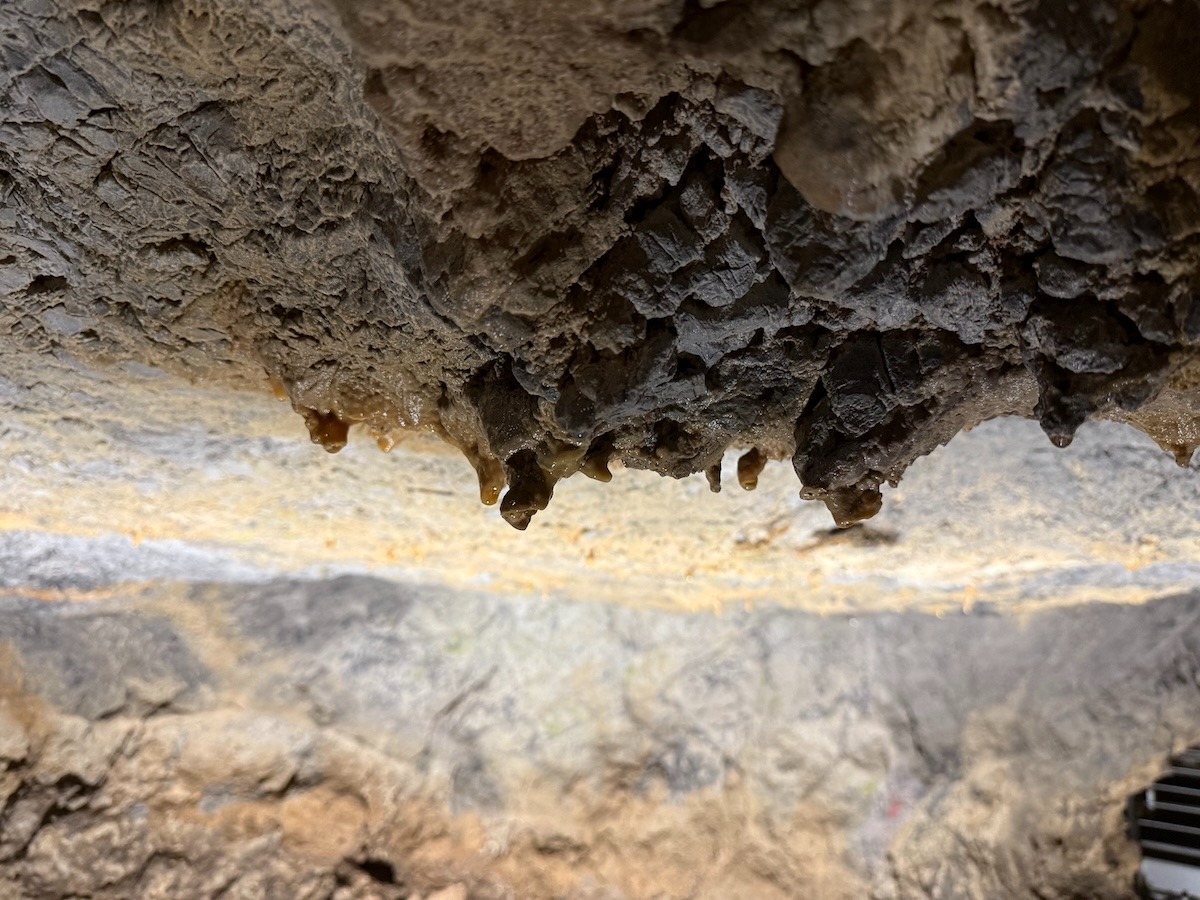 Record di visitatori alle Grotte di Sant’Angelo di Cassano: oltre 4.200 ingressi tra luglio e metà settembre - 