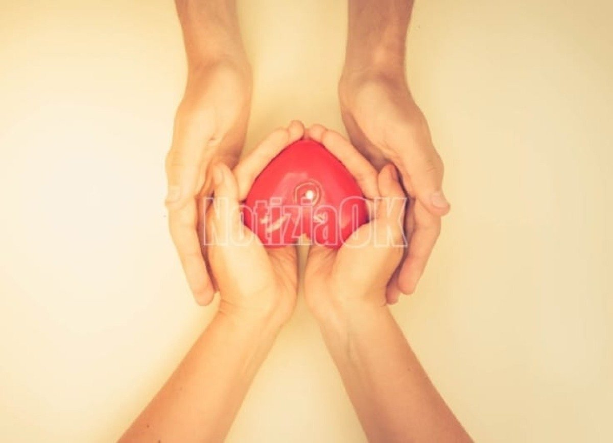 Albi celebra il valore della donazione: un incontro dedicato al volontariato e ai trapianti epatici - 