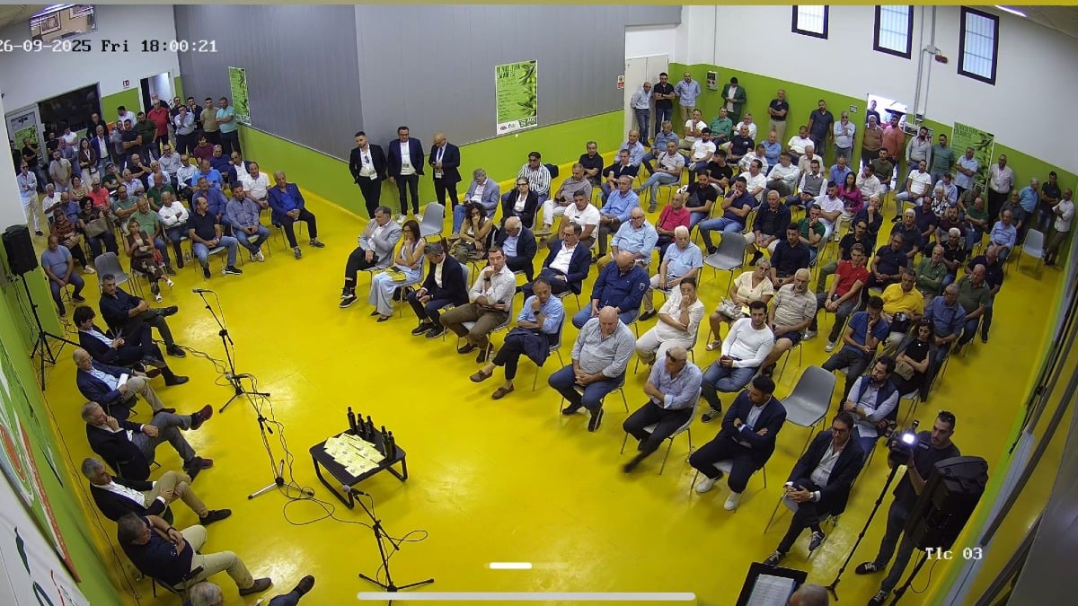 Roccabernarda al centro del rilancio dell’olio calabrese - 