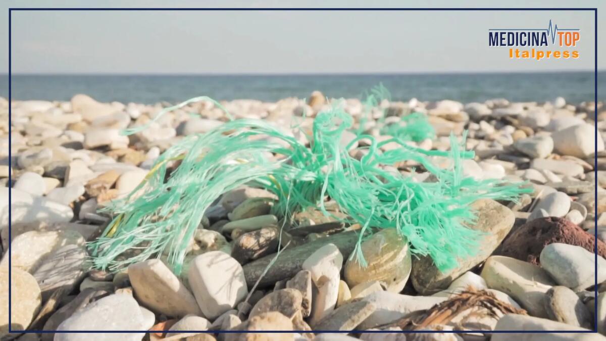 Le microplastiche minacciano i ghiacciai, un pericolo che riguarda tutti - 