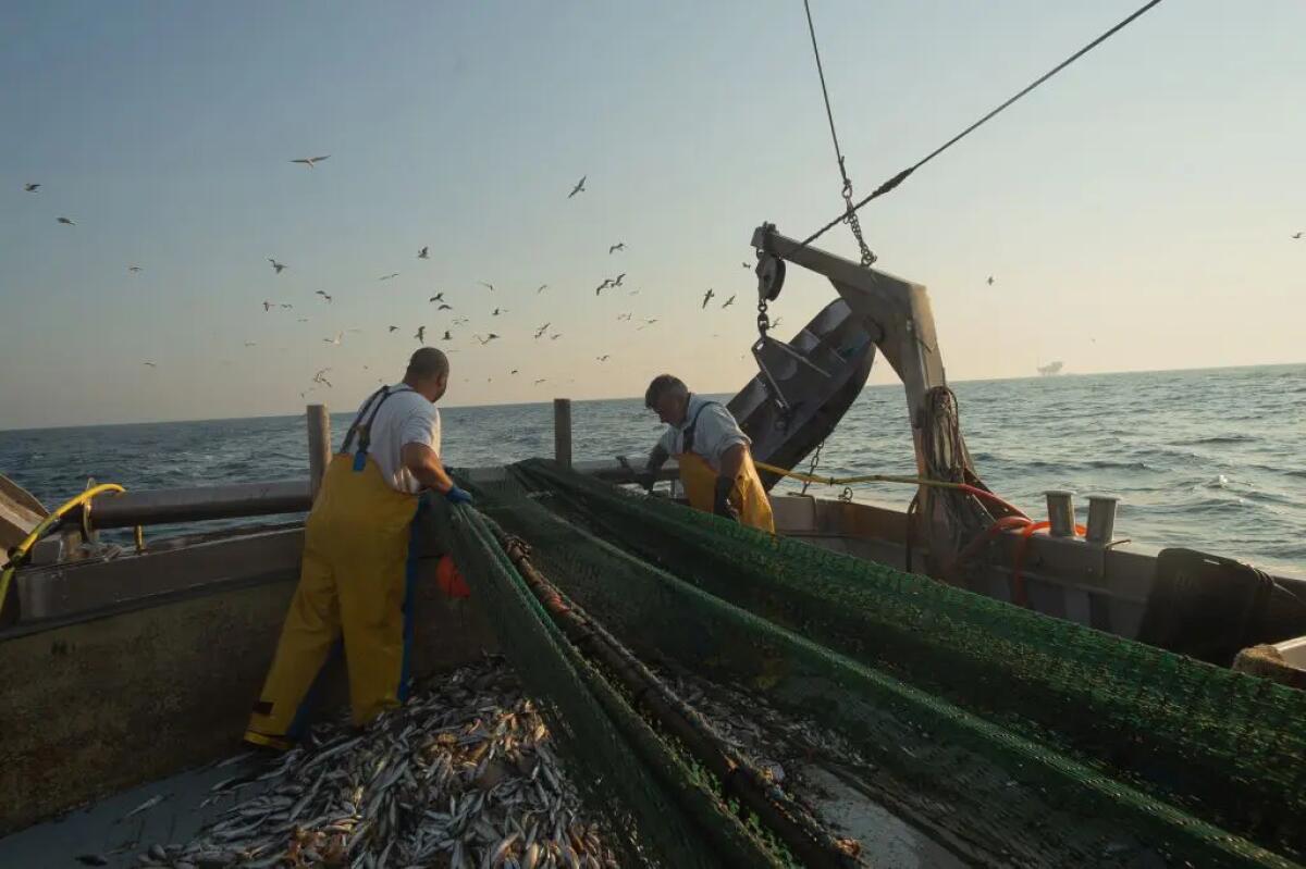 Pesca, in arrivo 2.7 milioni di euro con il programma Feampa -