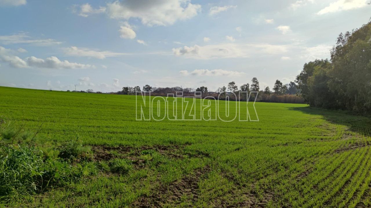 Psr, Arcea liquida oltre 23 milioni di euro agli agricoltori calabresi -