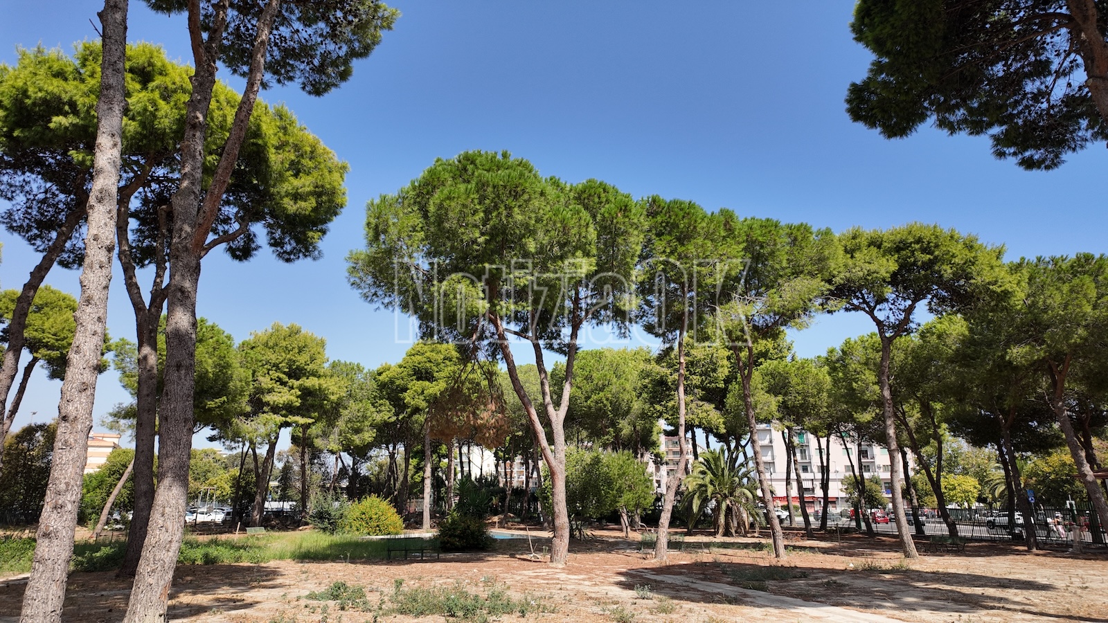 Crotone - 170 mila euro per la valorizzazione del verde urbano - Parco Zanotti Bianco redazione