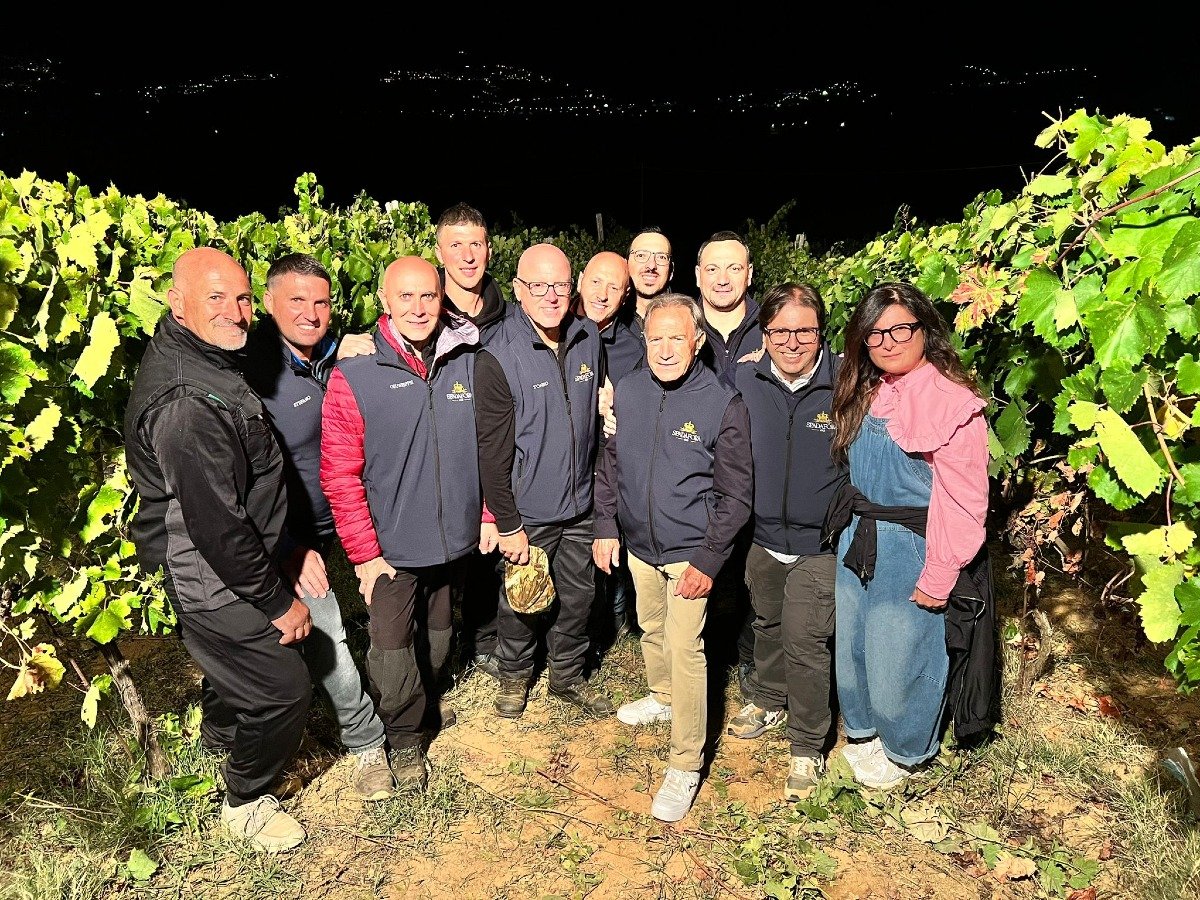 Vendemmia notturna per il vino Lunapiena delle cantine Spadafora 1915  - 