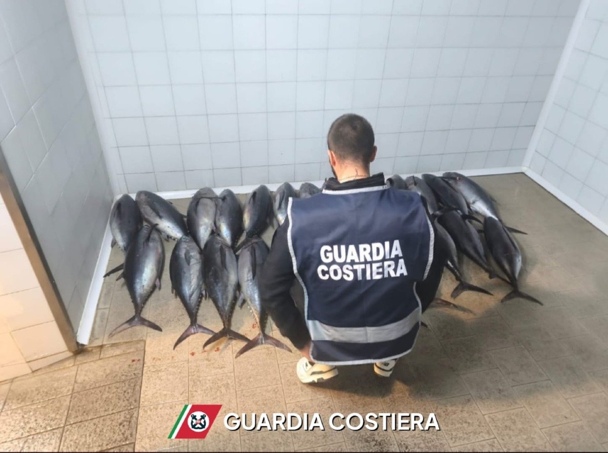 Fermato a Crotone un carico di tonno alalunga  - 