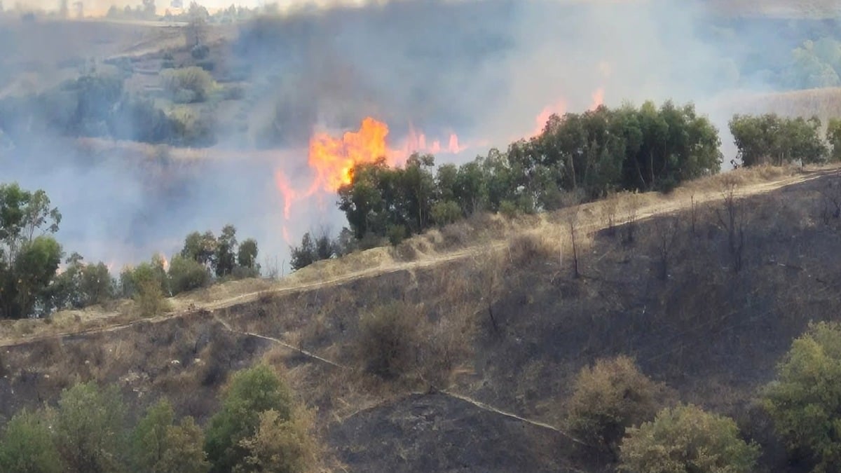 Nuovo incendio a Papanice: fiamme visibili dalla strada - 