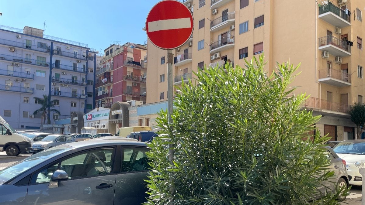 Nei quartieri di Crotone: Via Panella, l'angolo cieco -