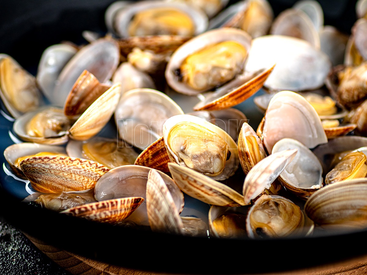Vittoria per i mari italiani: vongole salve e pescatori protetti -