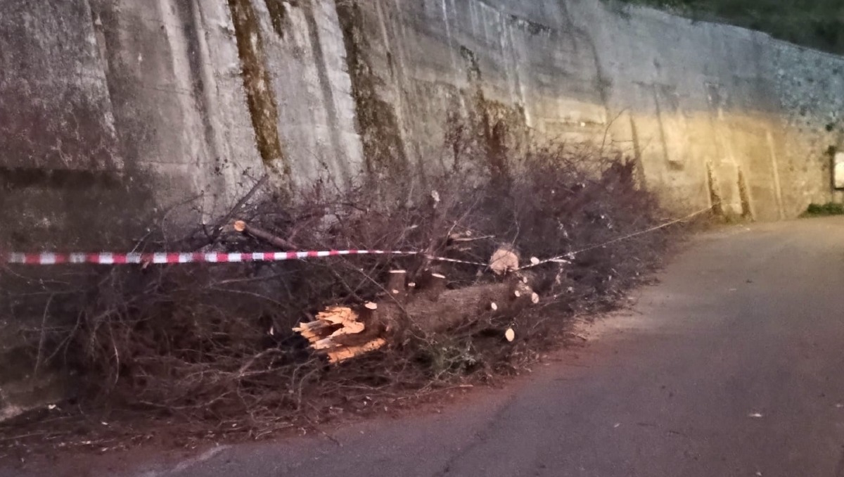 Corigliano-Rossano, ambientalismo di facciata: FDI si rivolge alla Giunta Stasi -