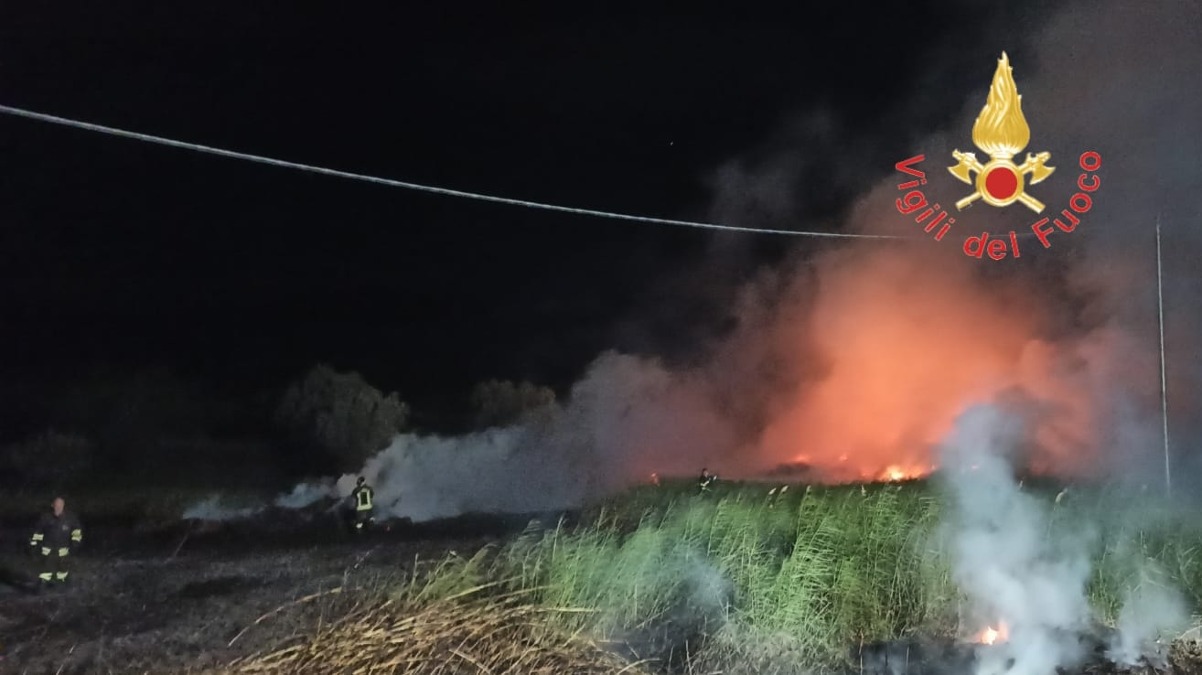 Catanzaro - Incendio di vegetazione in Viale Emilia: intervento dei Vigili del Fuoco per proteggere le abitazioni -