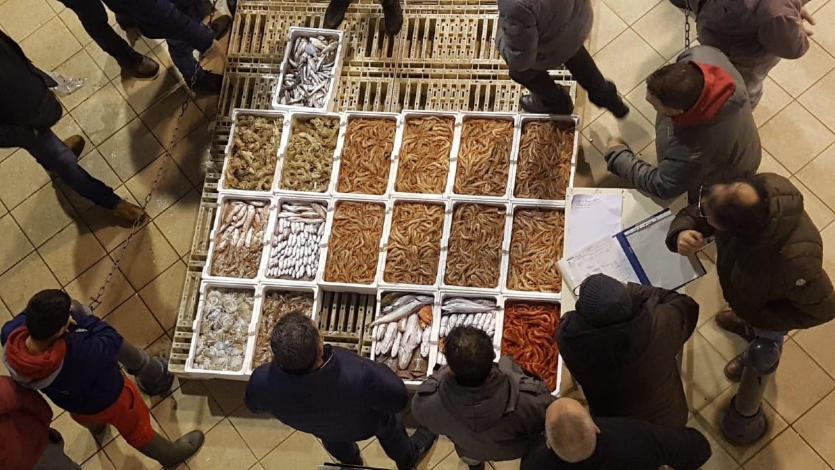 Corigliano-Rossano, Fratelli d'Italia: "Schiavonea dimenticata, marineria ai minimi storici" -