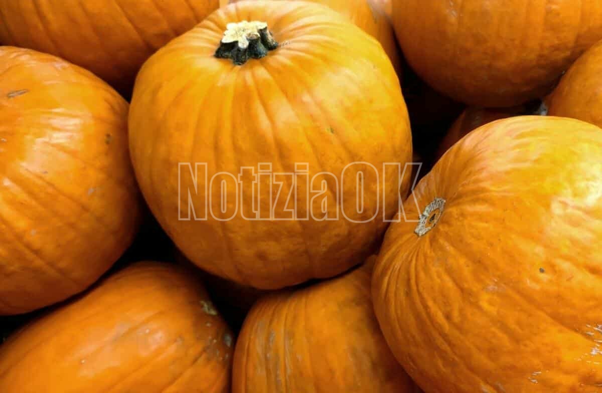Halloween: boom di “zuccaturismo” in Italia tra intaglio, pittura e percorsi da brivido -