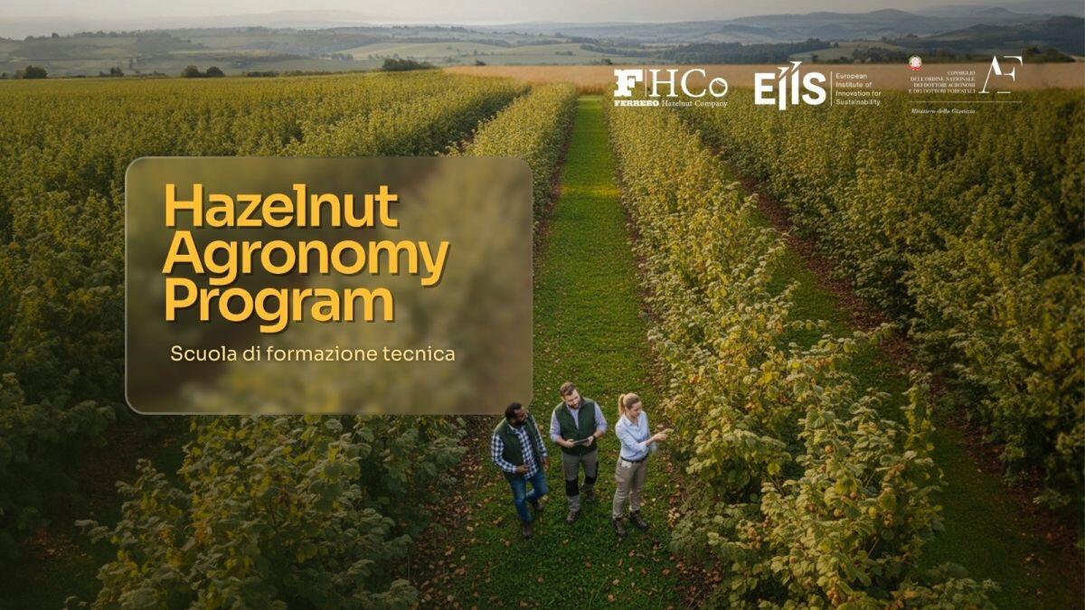 Al via l’Hazelnut Agronomy Program promosso da Ferrero, Eiis e Conaf -
