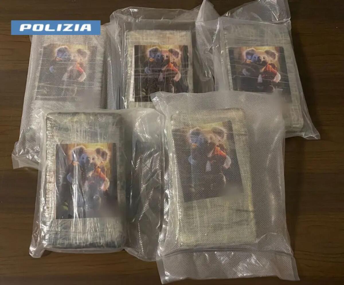 Cinque Kg di cocaina nascosti nel doppiofondo dell’auto, arrestato nel milanese -
