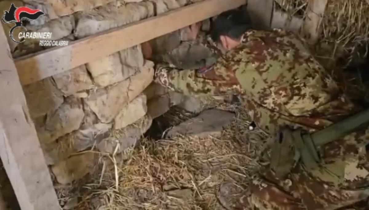 Scoperta una piantagione di marijuana in un bunker sotterraneo nella Locride, denunciato un 67enne -