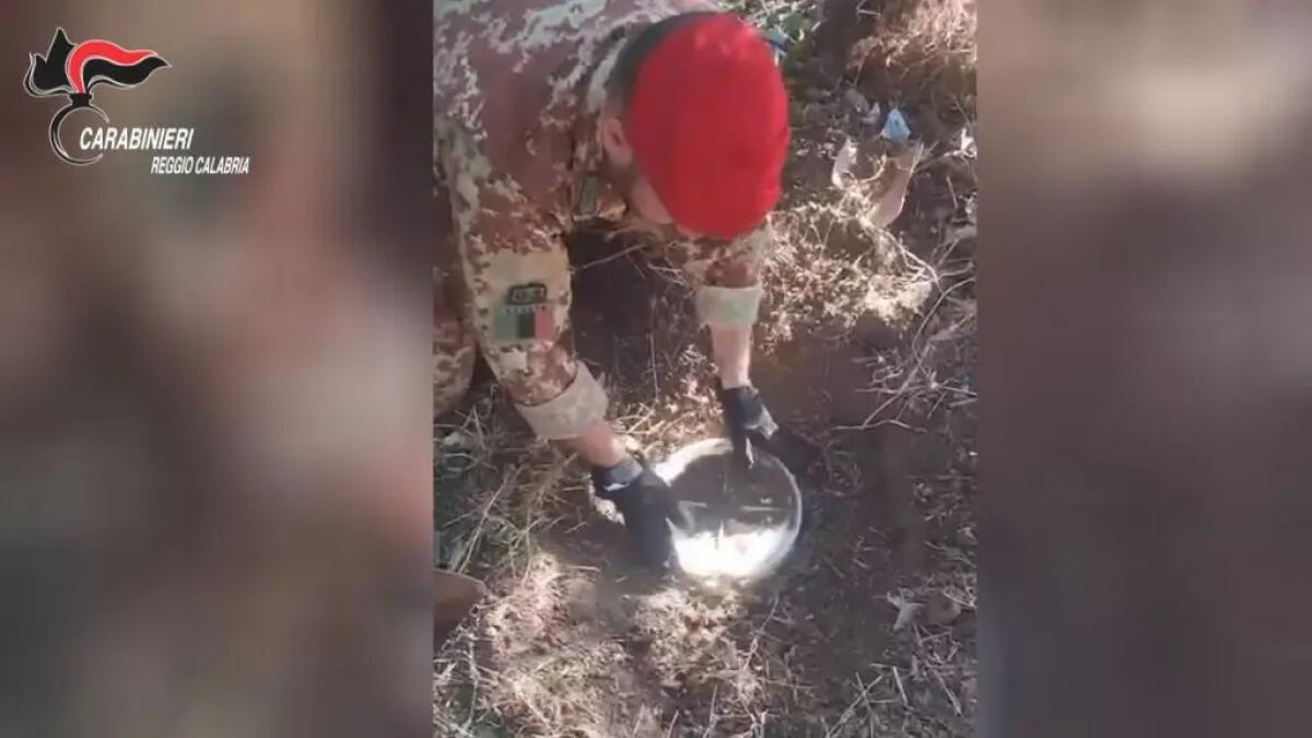 Decine di kg di droga sotterrati nelle campagne, arrestato un 28enne di Gioiosa Ionica -