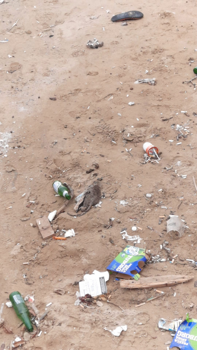 Rifiuti lungomare Crotone (Segnalazione Teodoro Daniela 22.10.2025) 2