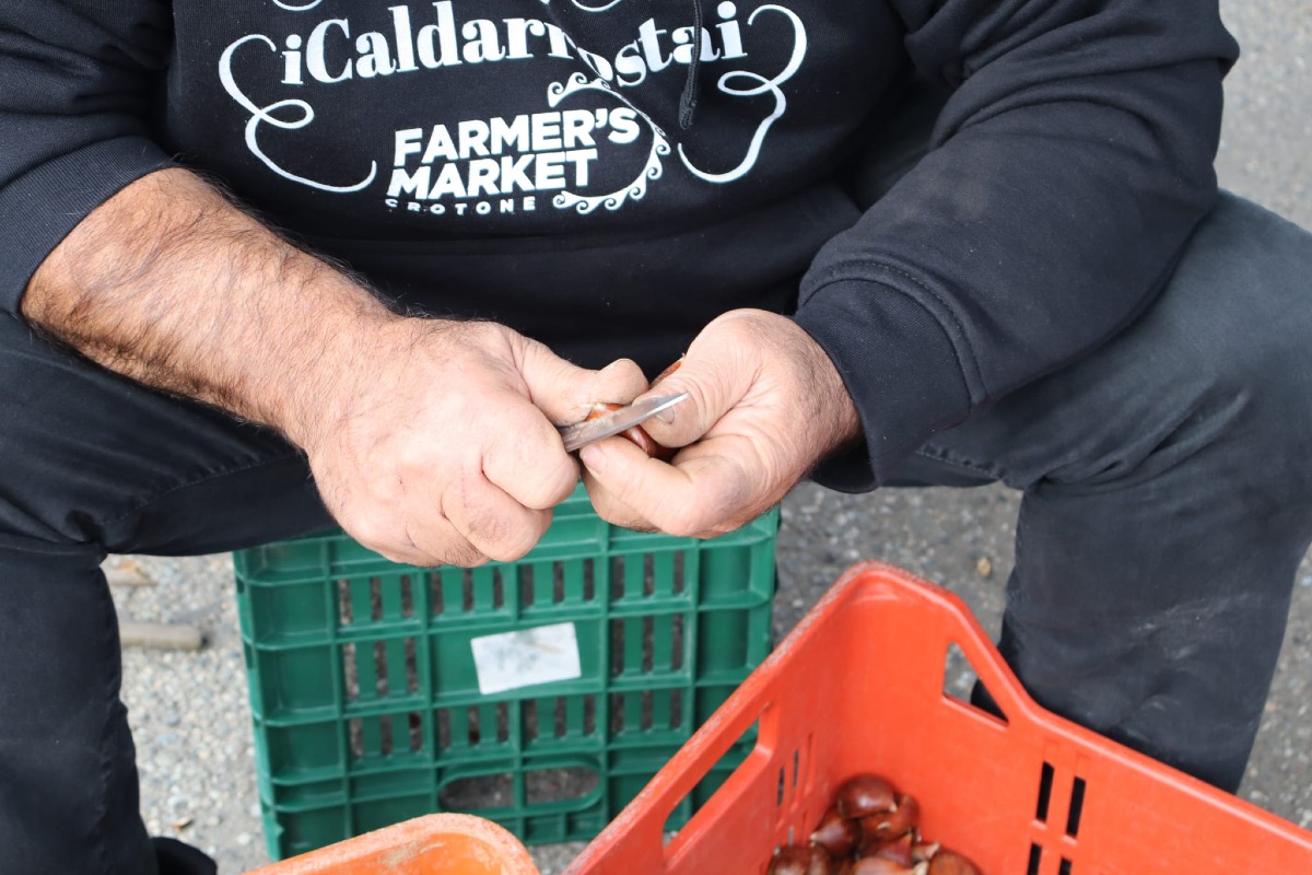 Festa della Castagna (Farmer's Market 26.10.2025) 1