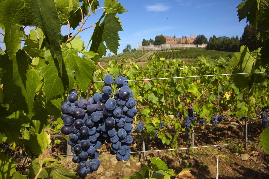 Nelle dimore storiche del Crotonese la cultura incontra l’agricoltura con “Coltiviamo la Cultura 2025” -  