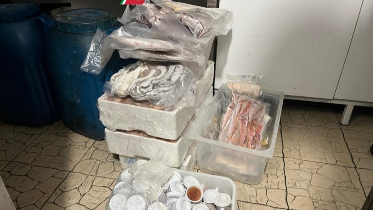 Pesca illegale nel SIN di Crotone: sanzioni e sequestri della Guardia Costiera - 