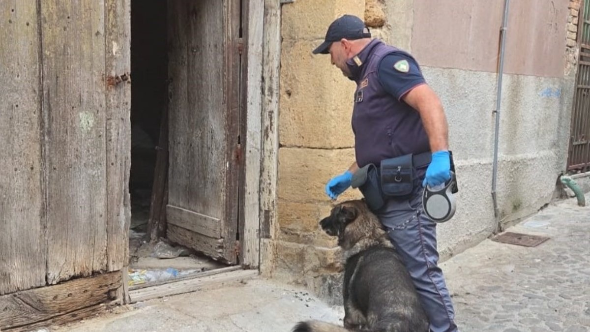 Crotone, controlli straordinari della Polizia di Stato tra il Capoluogo e Isola di Capo Rizzuto: una denuncia e sequestro di armi - 