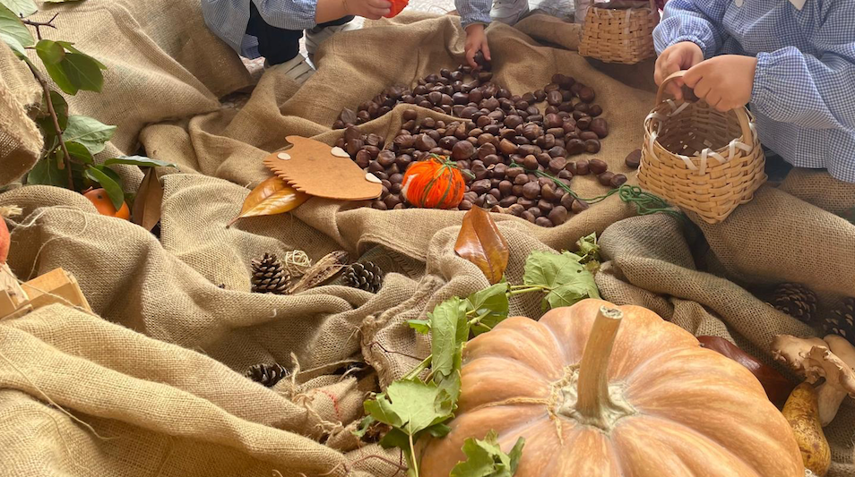 A Bisignano e Lattarico bimbi sperimentano tra zucche e castagne - 