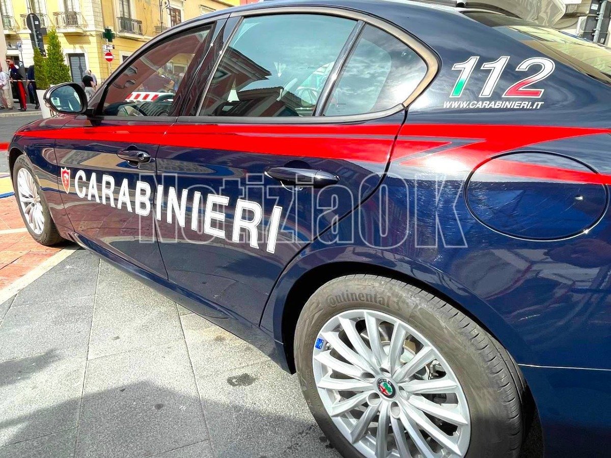Carabinieri di Crotone, tre mesi di operazioni mirate: raffica di misure preventive e denunce - 