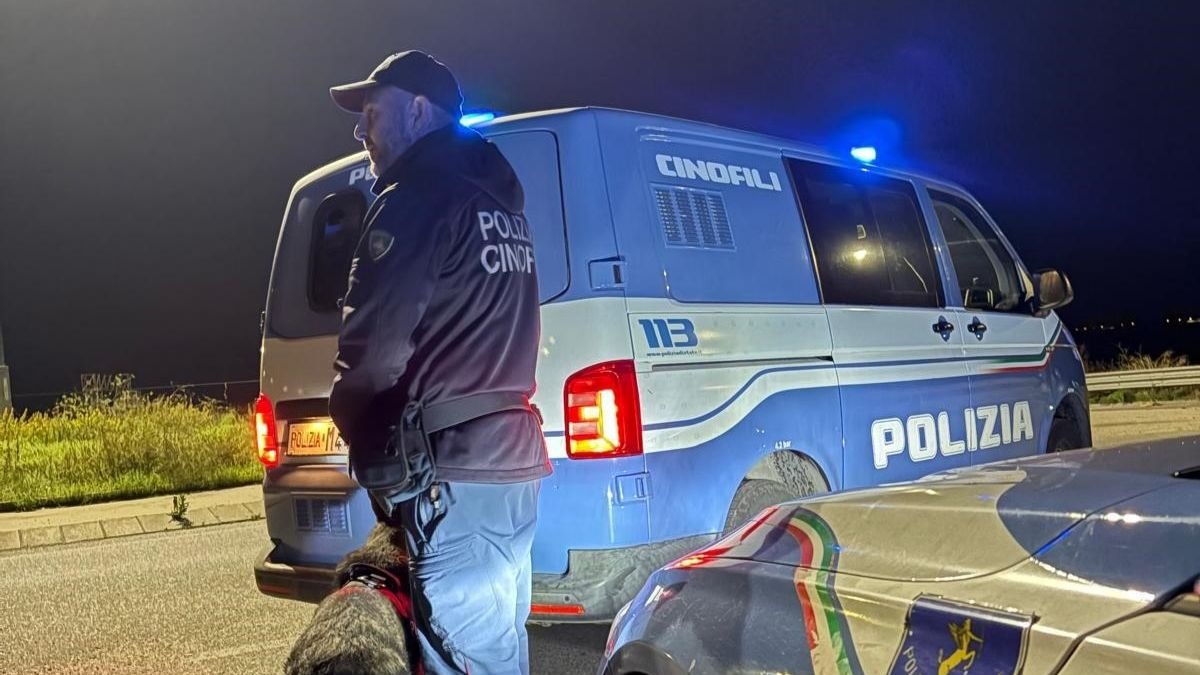 Crotone, imponente servizio di controllo del territorio: arresti e sequestri di droga - 