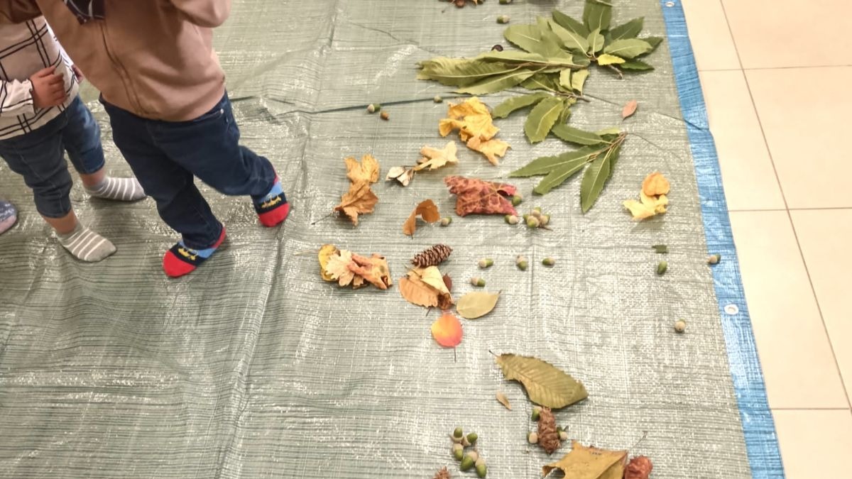 L’autunno insegna a sentire: a Lattarico i bambini scoprono la natura con tutti i sensi - 