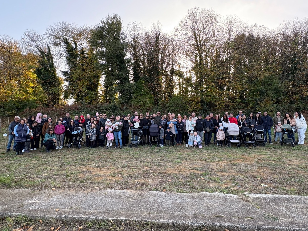 Girifalco celebra i nuovi nati con “L’Albero della Vita” - 