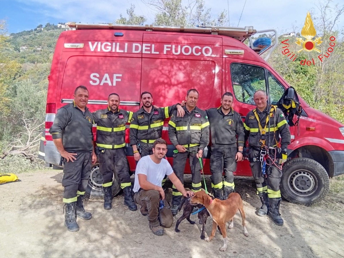 Cani da caccia cadono in un dirupo a Janò: salvati all’alba dai Vigili del Fuoco di Catanzaro - 