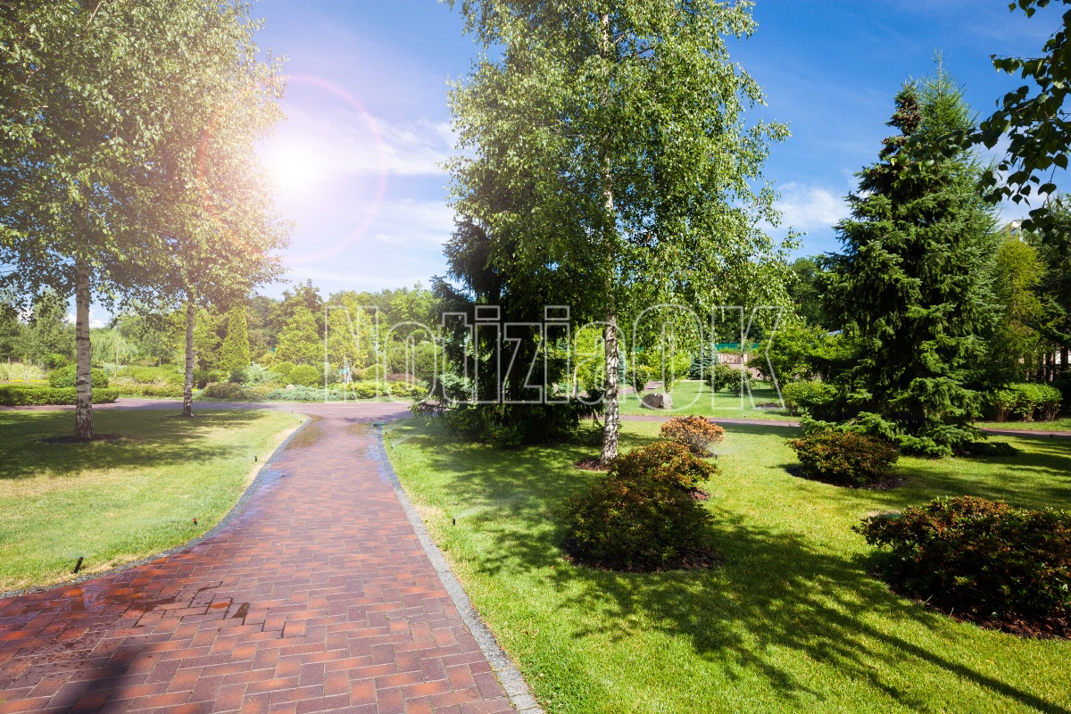 Crotone celebra la Festa dell’Albero 2025 - 