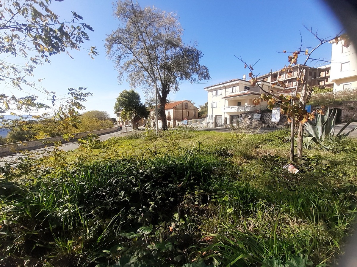 Comune di Tiriolo: al via i lavori e nuove delibere della Giunta - 