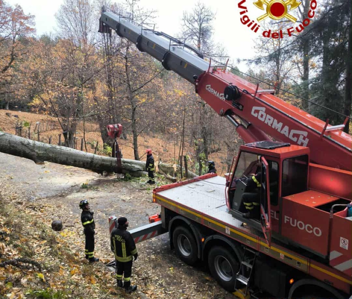 Maltempo nel petilino, cade un albero: strada bloccata, intervento dei Vigili del Fuoco - 