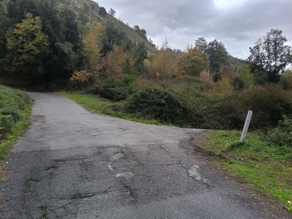 Tortora, avviati i lavori di sistemazione e bitumazione della strada Massadita - 