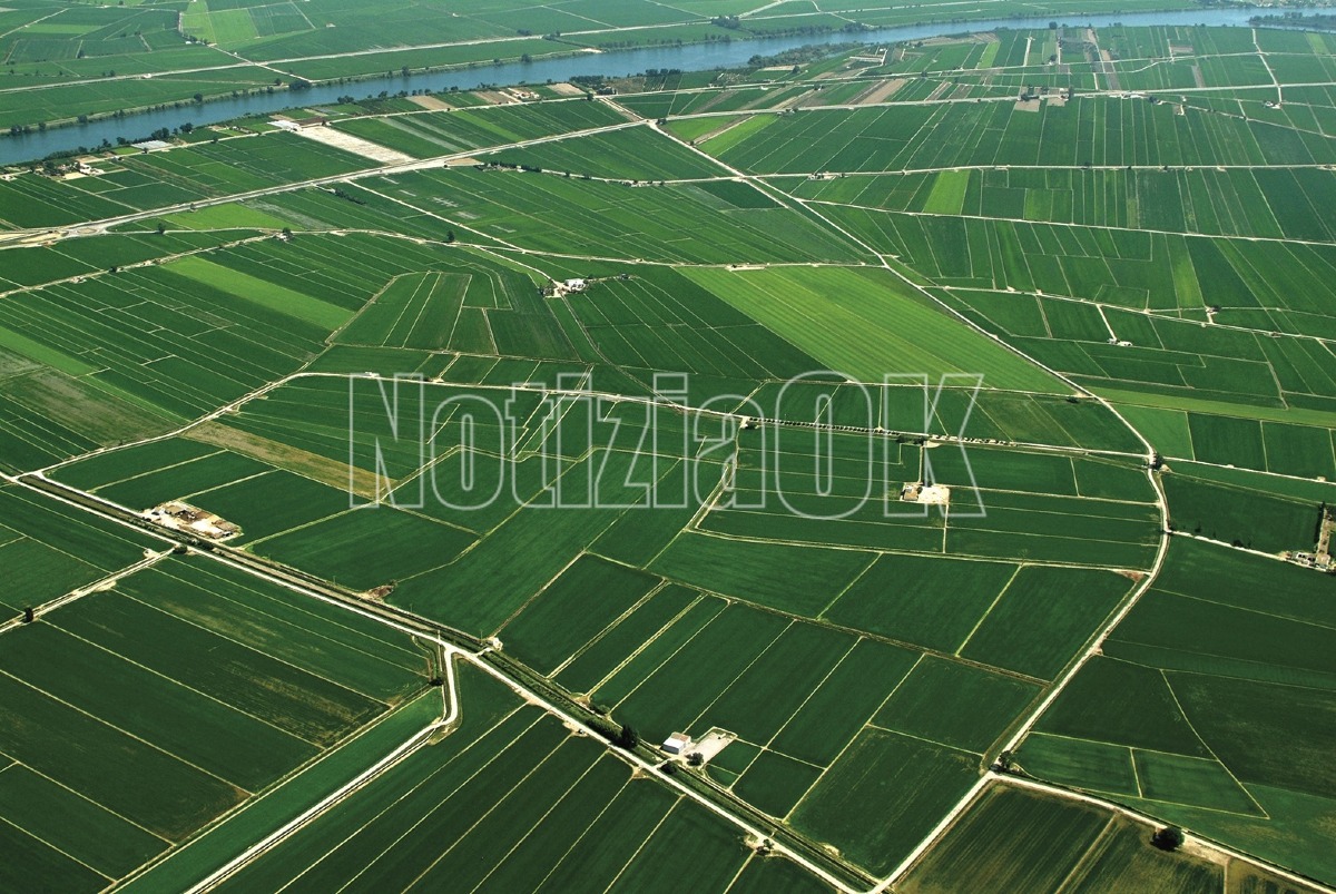 Domanda Unica – Campagna 2025: quasi 10 mln di euro erogati agli agricoltori calabresi - 