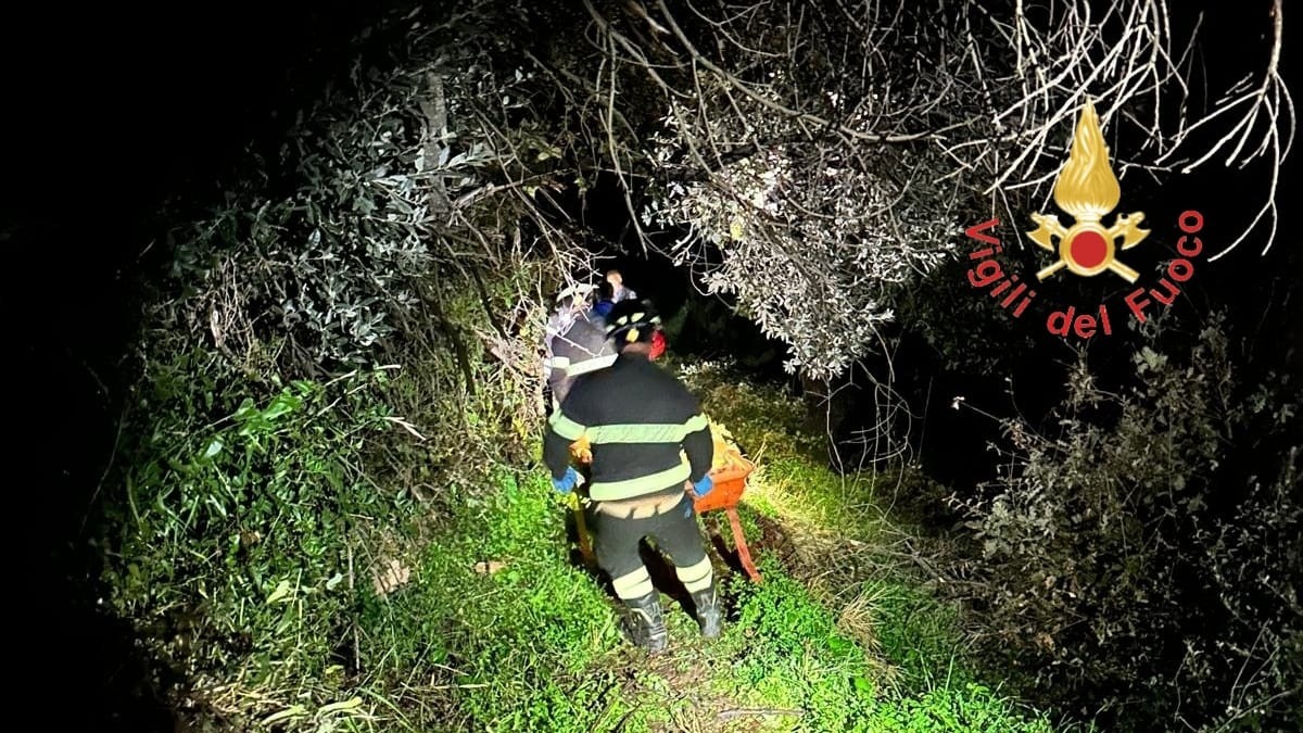Caduto lungo una scarpata a Nocera Terinese, salvato dai Vigili del Fuoco - 