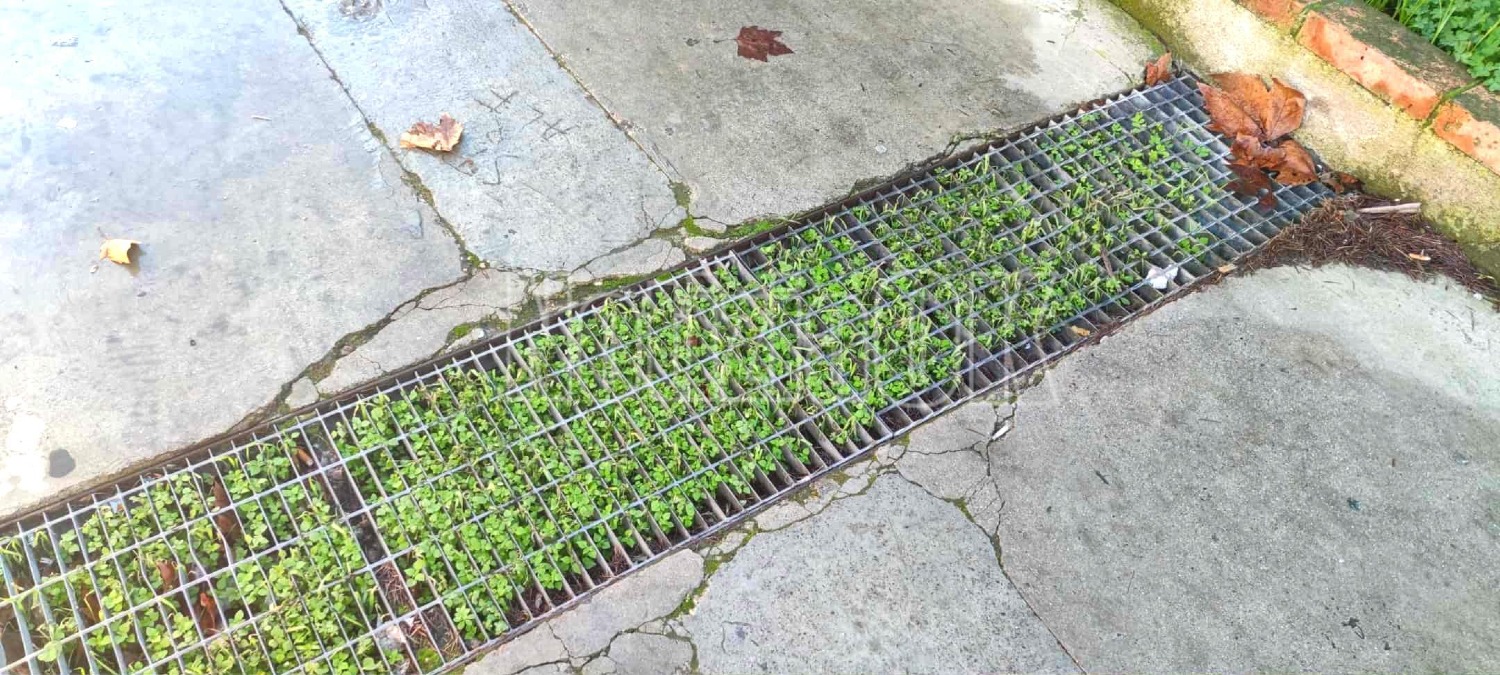 Nei Quartieri di Crotone - Arriva la pioggia ma in citta rimangono vecchi problemi - 