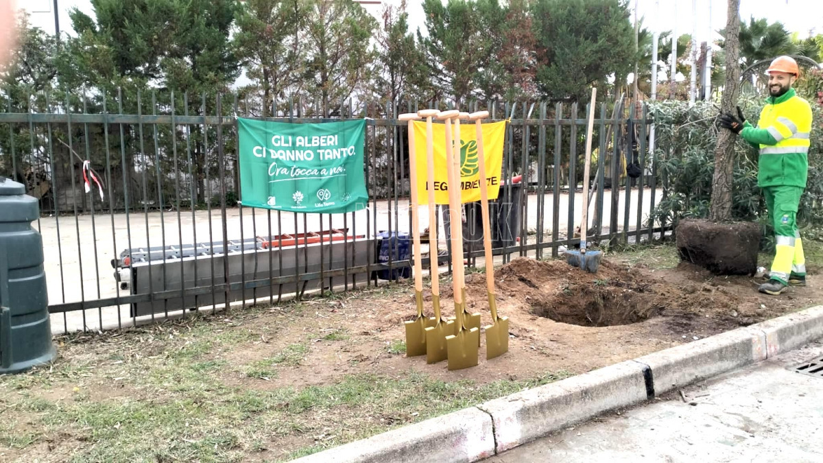 (Video) Crotone pianta il futuro: la Festa dell'Albero coinvolge gli studenti - 