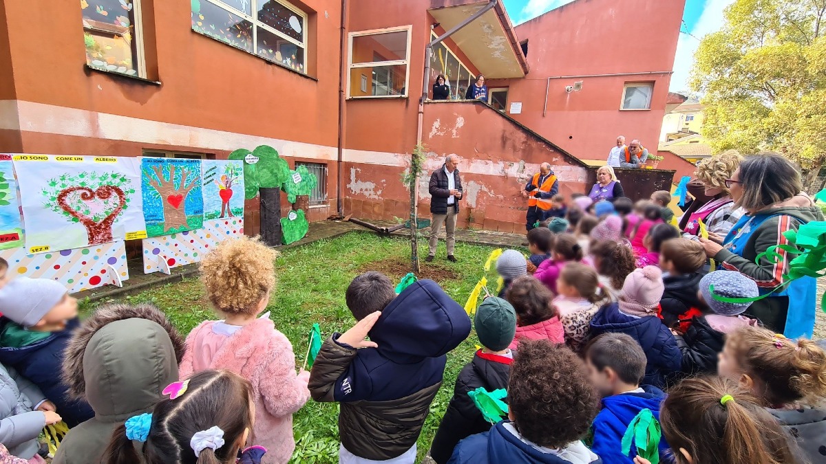 Castrovillari, la magia della Festa dell'Albero incanta i giovani del territorio - 