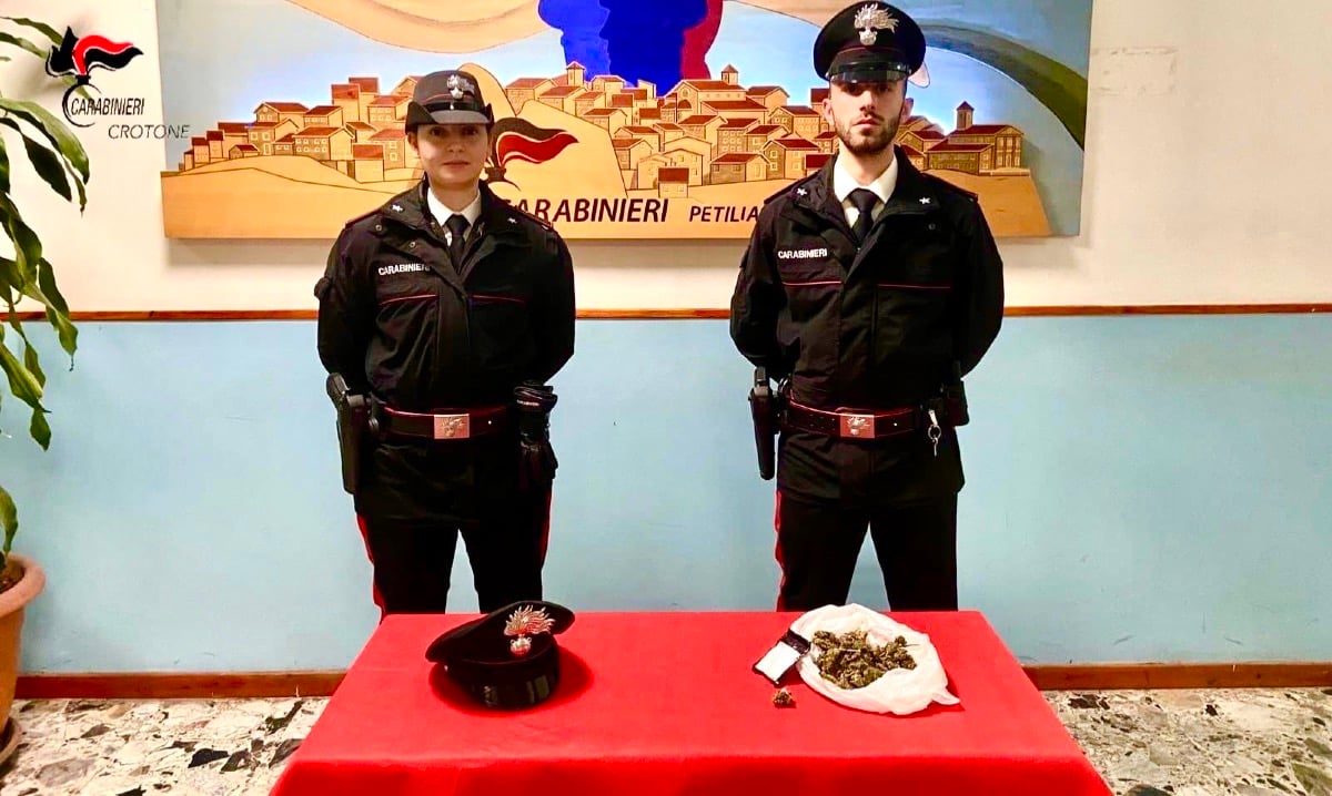 Petilia Policastro: Arrestato giovane per spaccio di marijuana - 