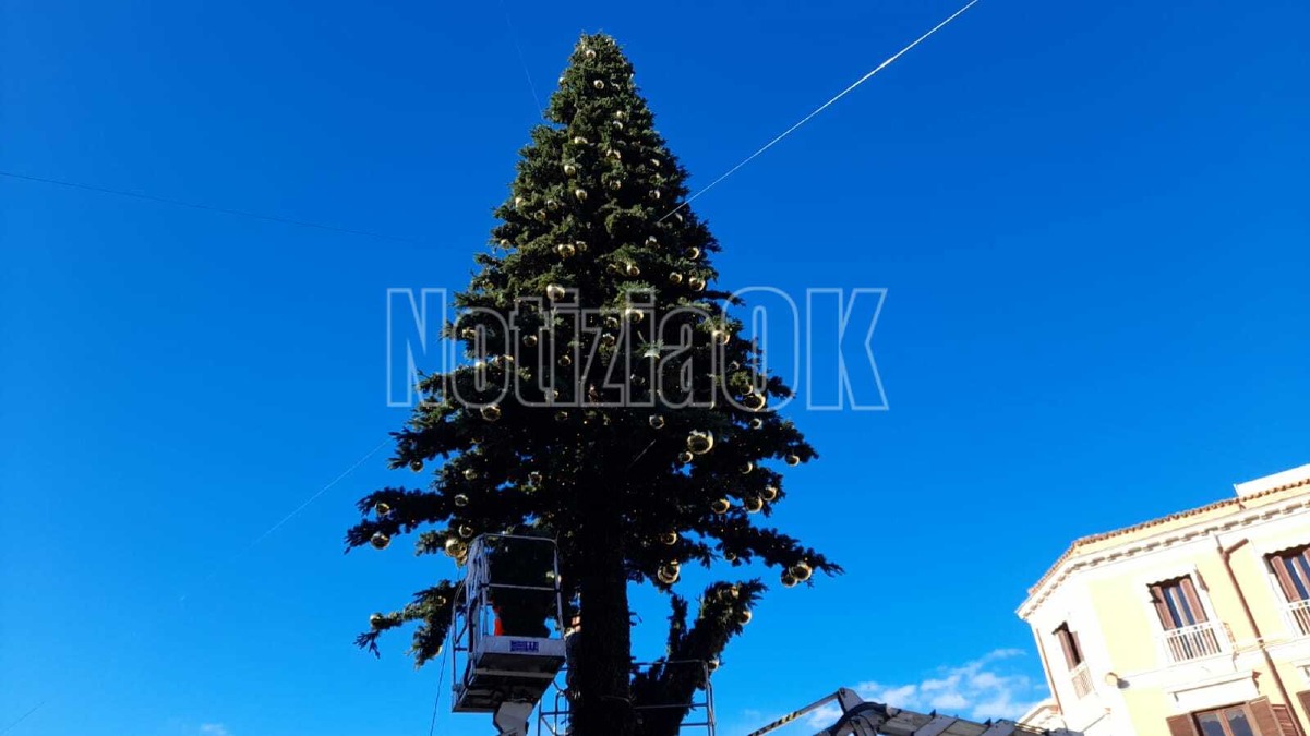 Crotone si prepara al Natale: albero in piazza Pitagora pronto ad accendersi - 