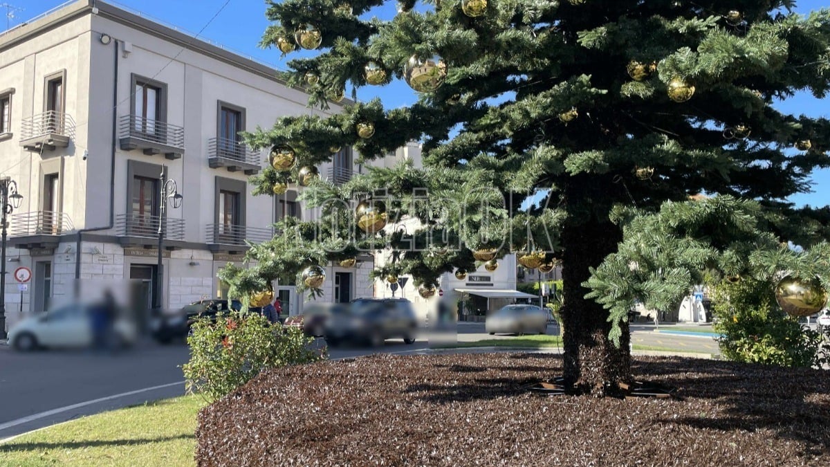 Furto di addobbi natalizi a Crotone, la polizia locale recupera le decorazioni di Natale rubate in piazza Pitagora - 