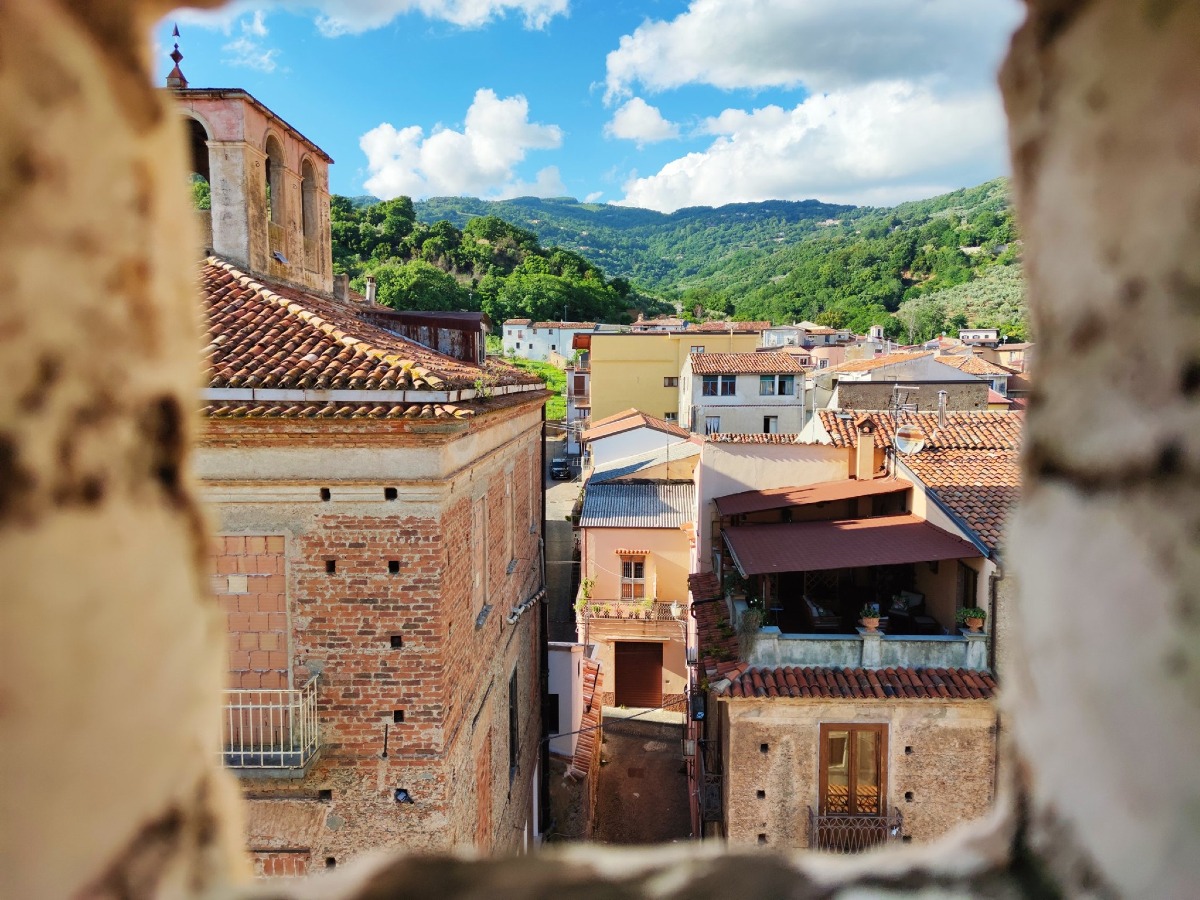 Forza Italia Lamezia Terme, De Biase: “Per il bene della città auspico un tavolo di confronto" - 
