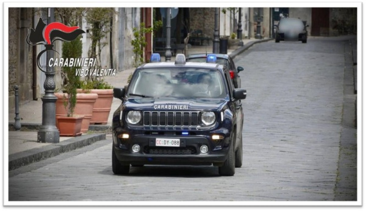 Controlli dei Carabinieri in casa di riposo a Soriano Calabro: elevate sanzioni per violazioni igienico-sanitarie - 