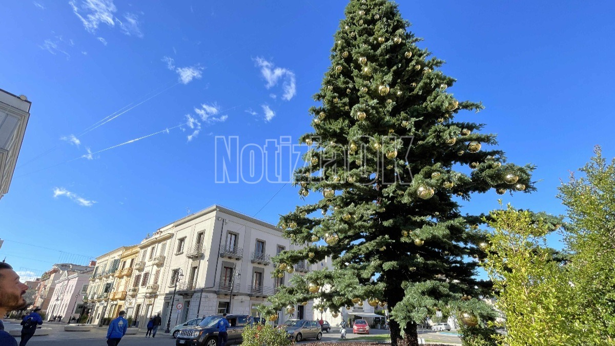 Un albero che “sa davvero di Natale”: quest'anno conquista i cittadini  - 