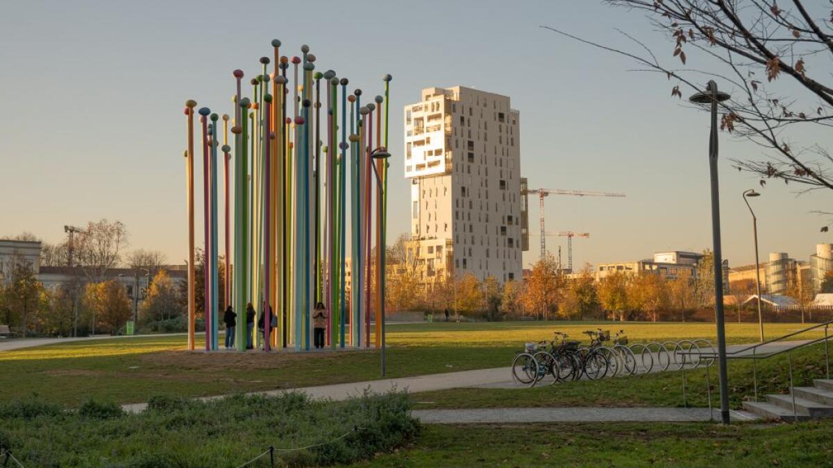 Affitti in frenata a ottobre, ma restano più cari del 4,1% rispetto al 2024 - 